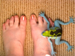 feet frog