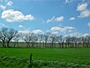 Kansas farm land ~ I'm so sick of winter and I had to use this picture of warm, sunny days...