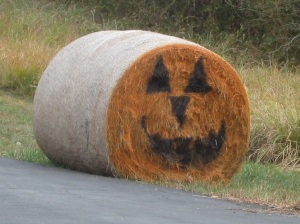 Farmers harvest a HUGE smile for Halloween.