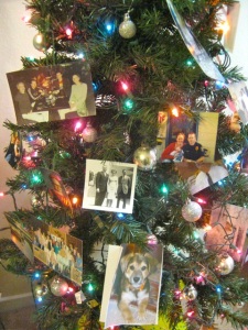 The Christmas tree in Mom's asst. living apartment, with family pictures scattered among the decorations.  Even Scout's is included.