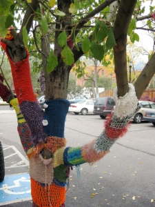 Local knitters keep the library trees colorful, creative and warm.
