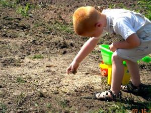When the tornado destroyed their trees, yard, part of their house and much of their town, young Gannon did what he could--he planted grass seed.