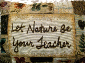 let nature be your teacher