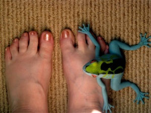 my feet w:frog