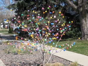 (Easter egg tree near Garden of the Gods in Colorado Springs.)