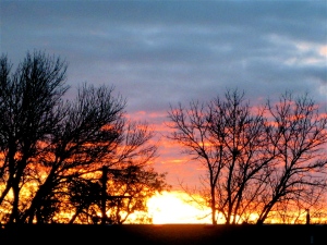 (Kansas sunset)