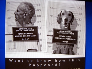 Mug shots of both the guilty dog walker...and the guilty dog.  :)  