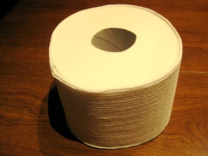 roll-of-toilet-paper