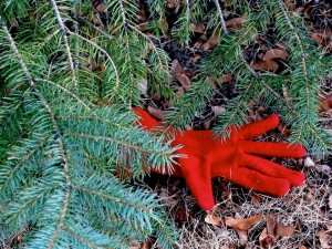 one-red-glove